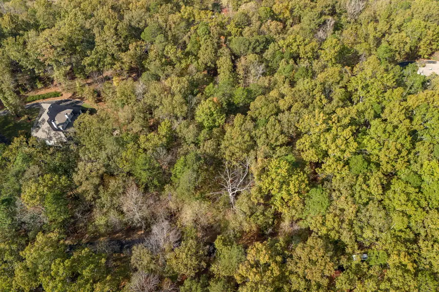 3 BALTUSROL COURT, Birmingham, AL 35242 - #2