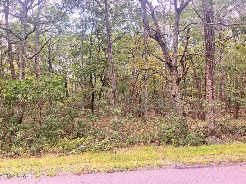 Philwood Lane, Milford, PA 18337 - #2