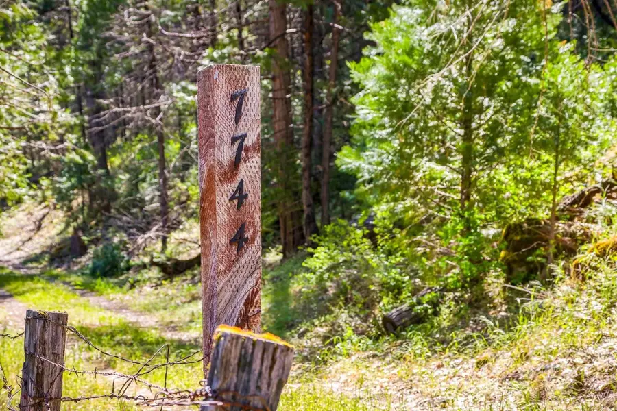 7744 Swiss Ranch Road, Mountain Ranch, CA 95246 - Image #3