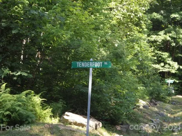 100 Tenderfoot Trail #100 & 101, Maggie Valley, NC 28751 - Image #2