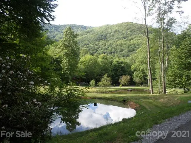 100 Tenderfoot Trail #100 & 101, Maggie Valley, NC 28751 - Image #3
