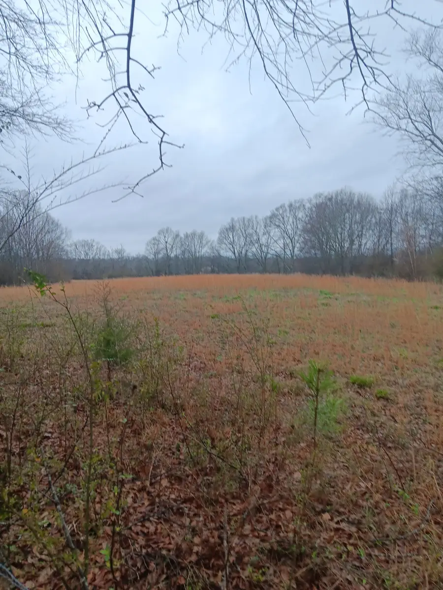 4808 Co Rd 24, Florence, AL 35634 - Image #2