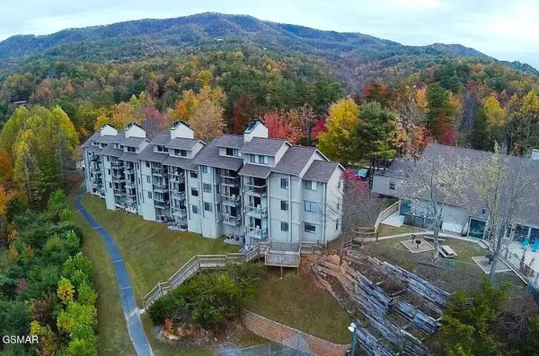 3710 Weber Road #B 201, Gatlinburg, TN 37738