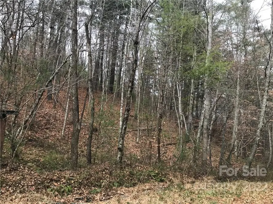 27 Eller Hollow Road, Weaverville, NC 28787 - Image #2