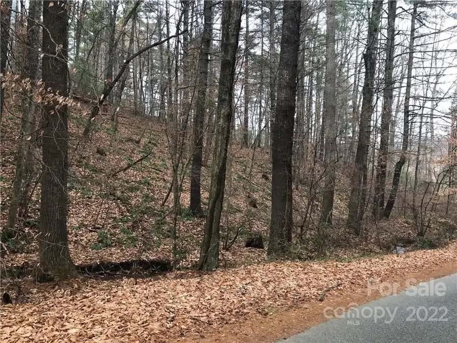 27 Eller Hollow Road, Weaverville, NC 28787 - Image #3