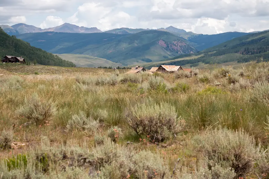 729 S Avion Drive, Crested Butte, CO 81224 - #2