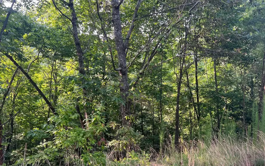 LOT 12 Preserve At Beach Mountain, Brasstown, NC 28902 - Image #2