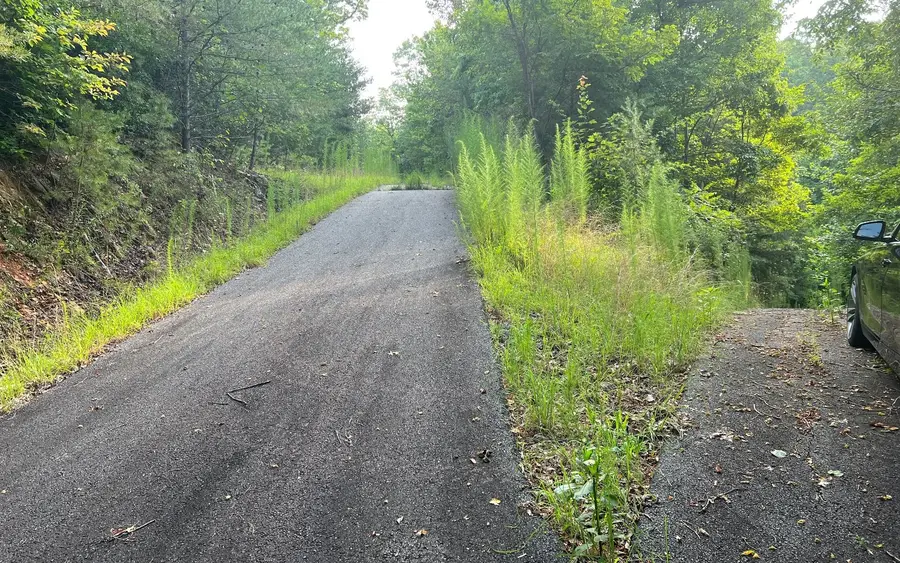 LOT 12 Preserve At Beach Mountain, Brasstown, NC 28902 - Image #3