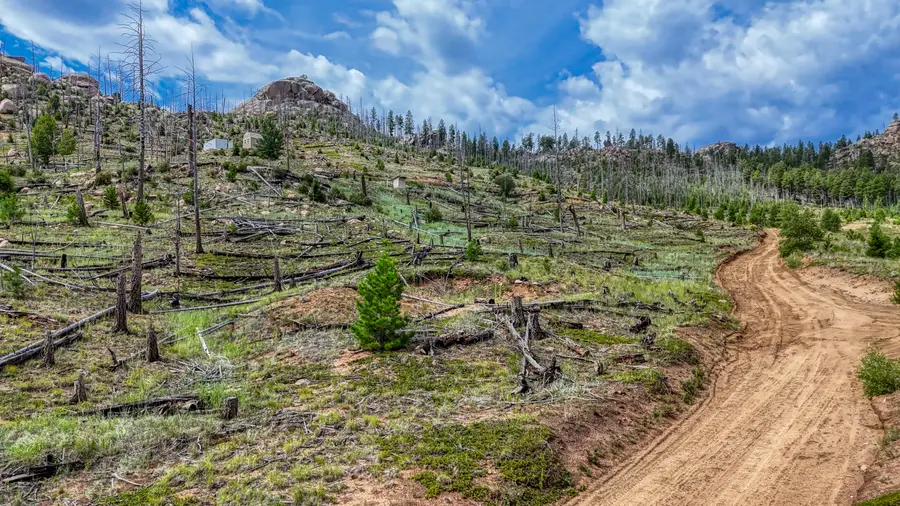 Highway 67, Cripple Creek, CO 80813 - #3