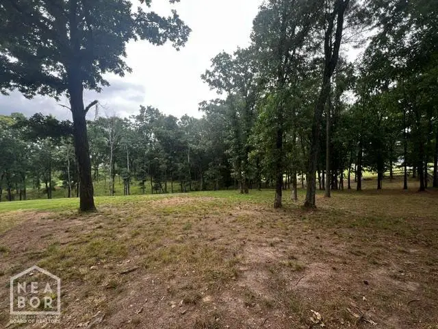 2910 Casey Springs, Jonesboro, AR 72404 - #1