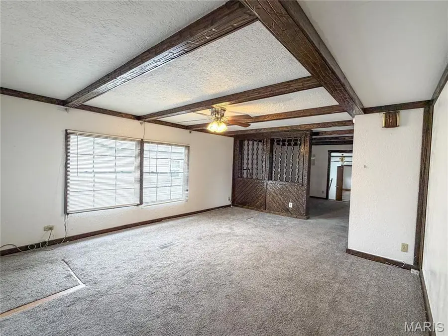 226 Dixie Street, Sikeston, MO 63801 - #2