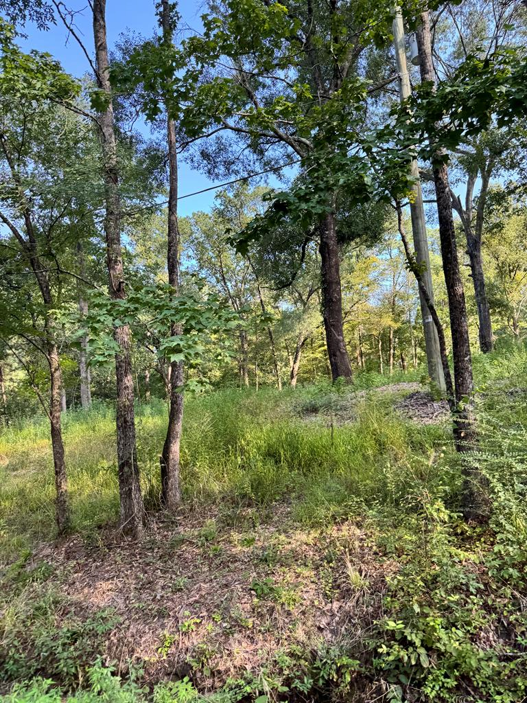 Pt of 560 Mckindree Rd, Lufkin, TX 75901 - Image #1