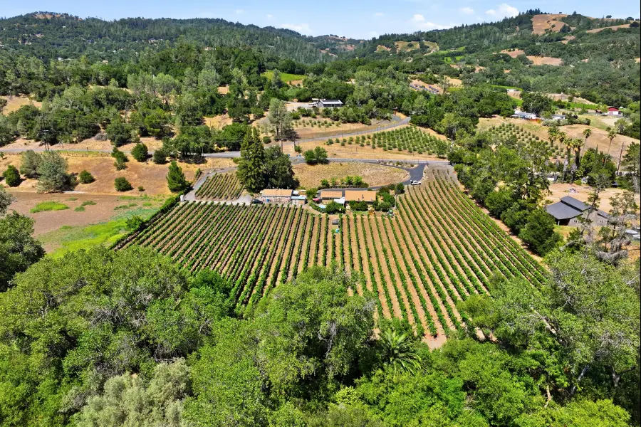 26069 River Road, Cloverdale, CA 95425 - #2