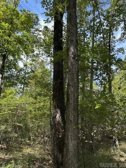 000 Ross Hollow, Wye, AR 72223 - #1