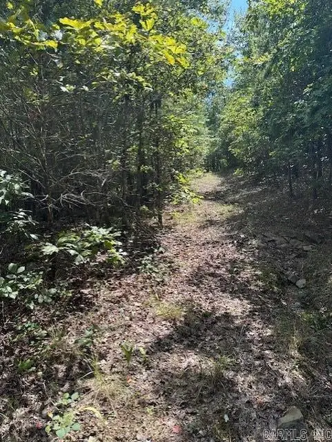 000 Ross Hollow, Wye, AR 72223 - #2