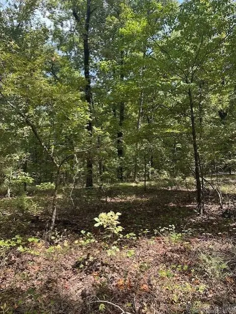 000 Ross Hollow, Wye, AR 72223 - #3