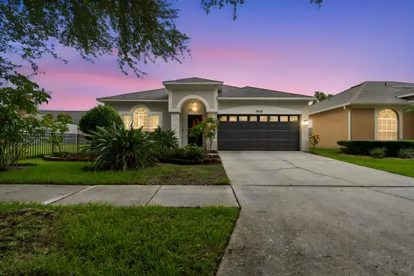 19029 Chemille Drive, LUTZ, FL 33558