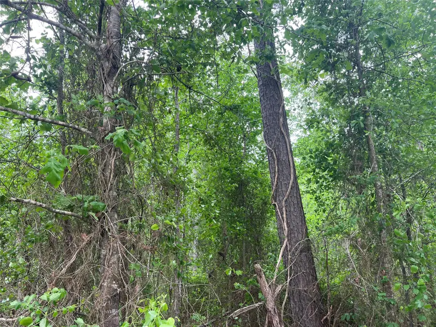 000 Cemetery Road, Ames, TX 77575 - #2