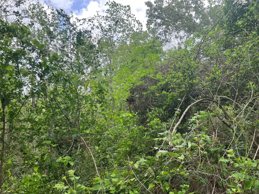 000 Cemetery Road, Ames, TX 77575 - #3