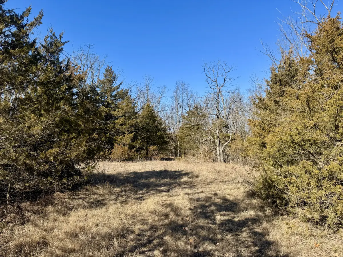 000 Cottengim Road, Macomb, MO 65702 - #1