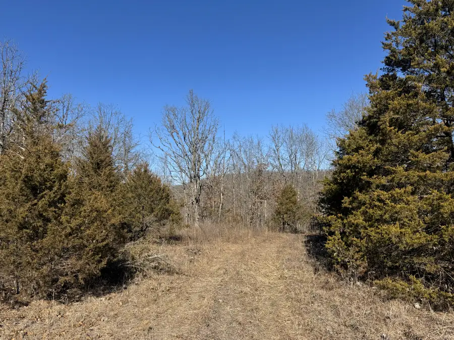 000 Cottengim Road, Macomb, MO 65702 - #2