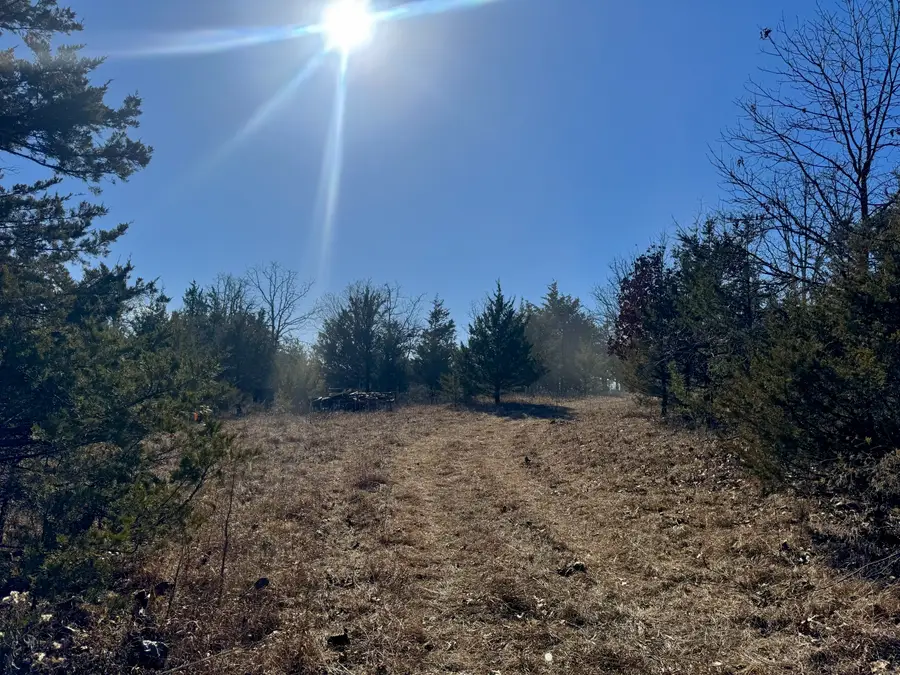 000 Cottengim Road, Macomb, MO 65702 - #3