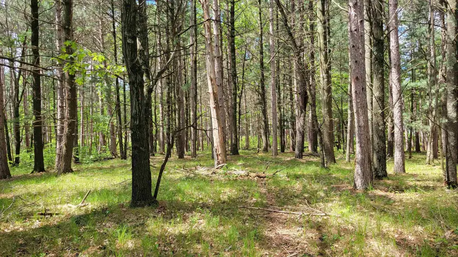 227 9th Avenue, Nekoosa, WI 54457 - Image #3