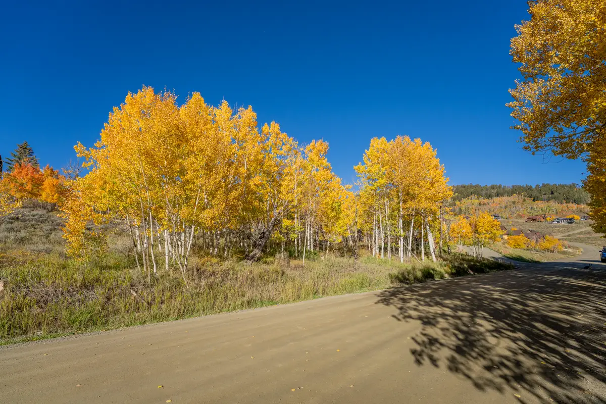 684 Zeligman Street, Crested Butte, CO 81224 - #1