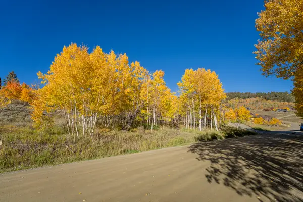 684 Zeligman Street, Crested Butte, CO 81224