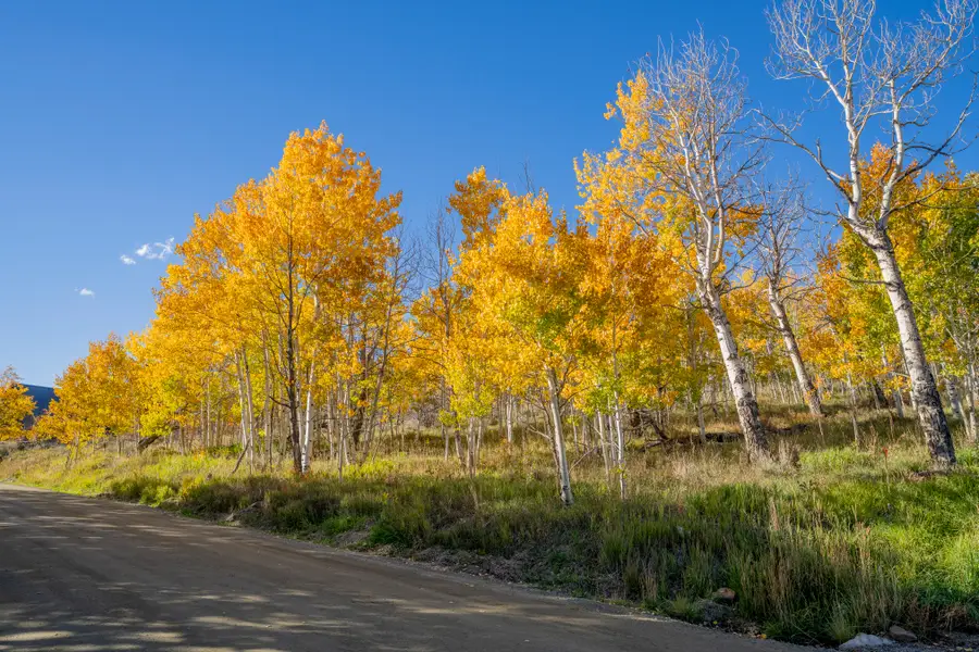 684 Zeligman Street, Crested Butte, CO 81224 - #3