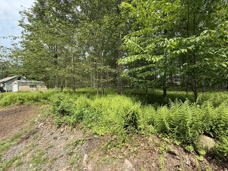 Dorshimer Ave, Pocono Lake, PA 18610 - Image #2
