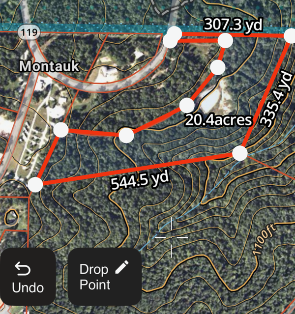 TBD Highway 119, Salem, MO 65560