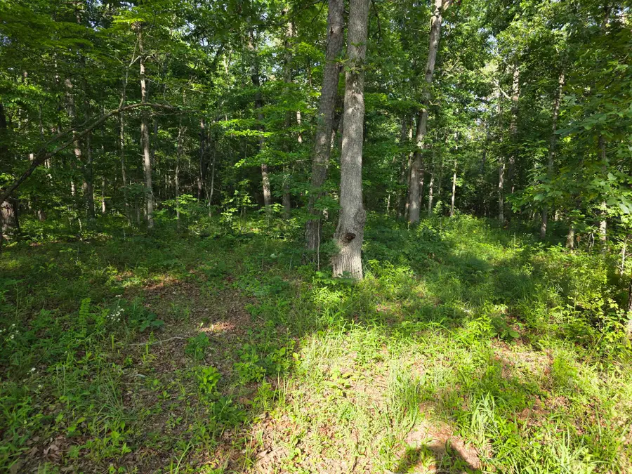 TBD Highway 119, Salem, MO 65560 - #2