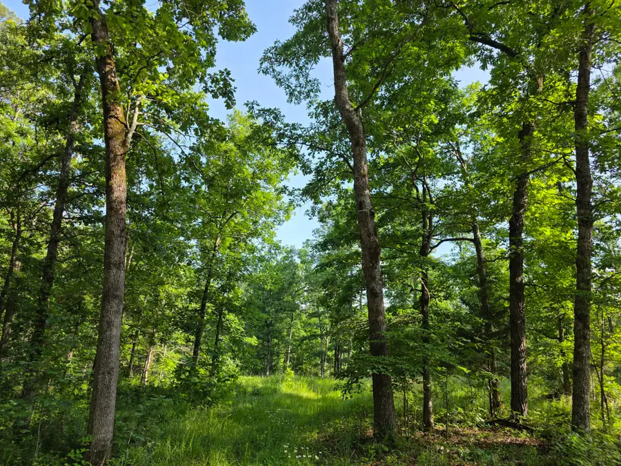 TBD Highway 119, Salem, MO 65560 - #3