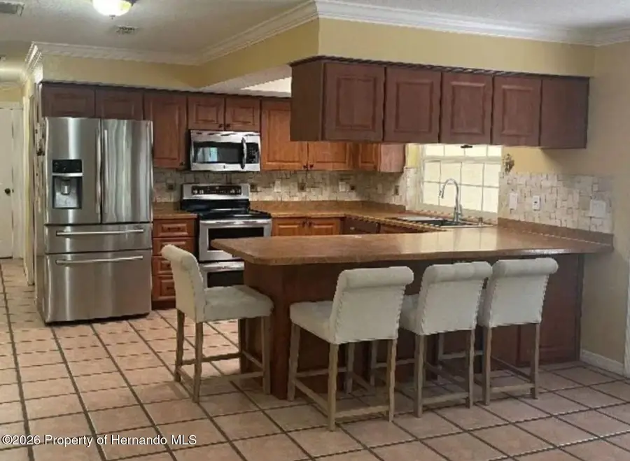 18816 Cimbora Drive, Shady Hills, FL 34610 - #2