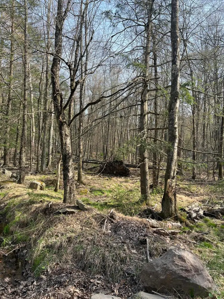 Lot 720 Elk Run Road, Pocono Lake, PA 18347 - Image #1