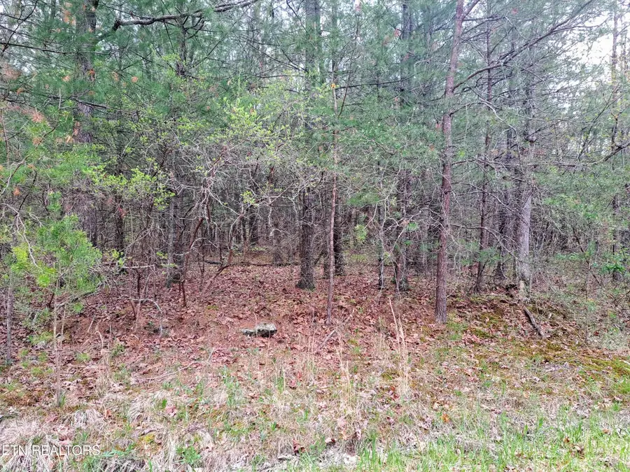 927 Paola Drive, Crossville, TN 38572 - #3