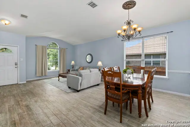 23003 Tornillo Drive, San Antonio, TX 78258 - #2