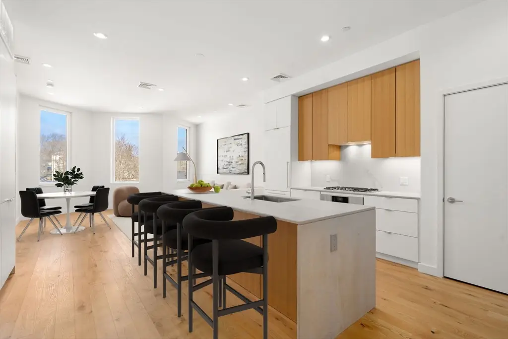 80 Terrace Street #501, Boston, MA 02120 - #1