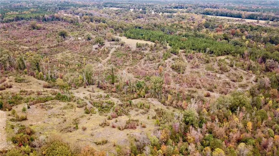 0 Battle Road, Hurtsboro, AL 36860 - Image #3