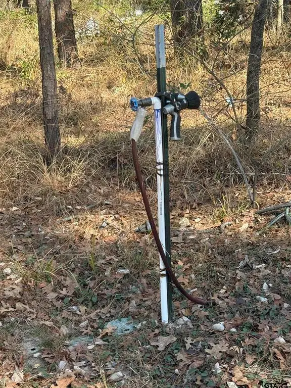 310 Private Road 8570, Winnsboro, TX 75494 - Image #3