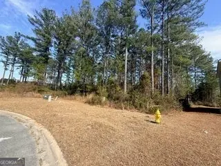 V/L 374 Beach Head Court, Kingsland, GA 31548 - #3