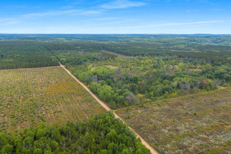 Forest 1628 Road, Crivitz, WI 54114 - #3