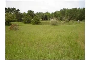 1049 Duquesa, Lake Isabella, MI 48893