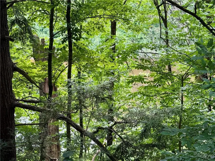 Beck Road, Blossvale, NY 13308 - Image #2