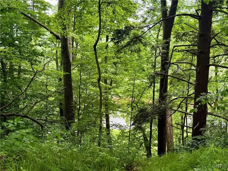 Beck Road, Blossvale, NY 13308 - Image #3