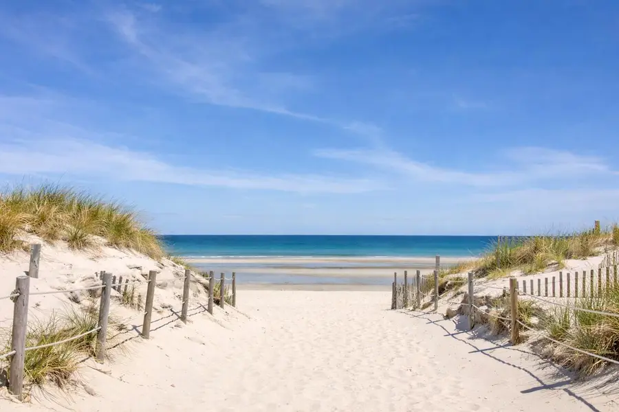 69 Horsefoot Path, Dennis, MA 02638 - #3