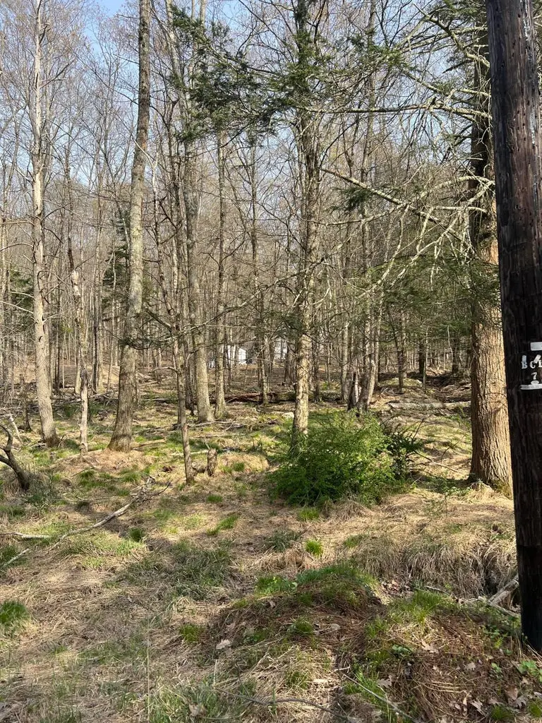 lot 719 Elk Run Road, Pocono Lake, PA 18347 - Image #3