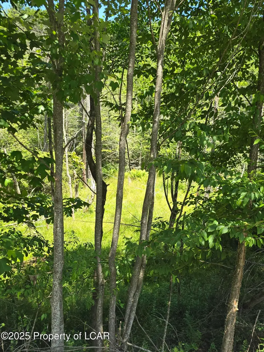 Second Street, Harveys Lake, PA 18618 - Image #3