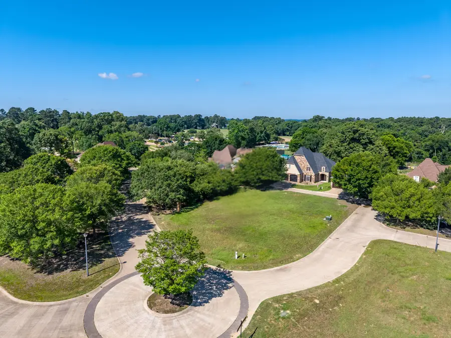 100 Elm Tree Cir, Bullard, TX 75757 - #3